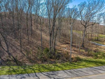 0.93 Acre Nina Rd, White Pine, 田納西州 37890, 美國