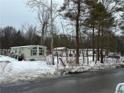 238 Durbin Road, Hannibal, نيويورك 13074, الولايات المتحدة