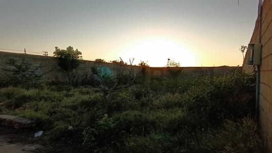 S/N S/N, Villa Rosa, Nueva Esparta 6308, ベネズエラ