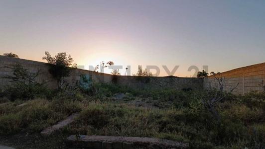 S/N S/N, Villa Rosa, Nueva Esparta 6308, ベネズエラ