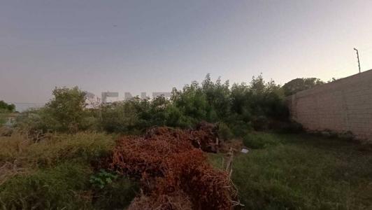 Villa Rosa, Nueva Esparta 6301, Venezuela
