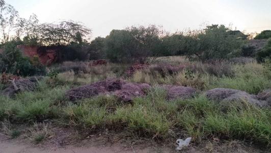 Villa Rosa, Nueva Esparta 6301, Venezuela