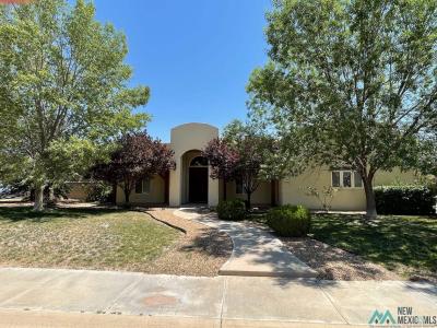 1201 Saunders Drive, Roswell, NM 88201, USA