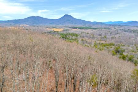 Douglas Fir Dr., Cleveland, 乔治亚州 30528, 美国