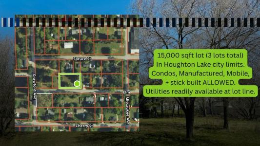 xxx Elm Street, Houghton Lake, 密西根州 48629, 美國