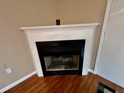 208 Johnson St, Hornbeak, Tennessee 38232, Estados Unidos
