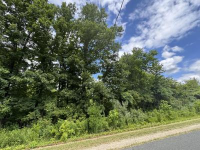 V/L 119th Avenue, Fennville, מישיגן 49408, ארצות הברית של אמריקה 