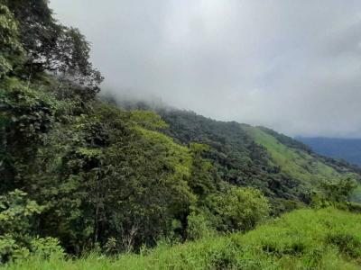 Parrita Parrita, Puntarenas 00001, Costa Rica