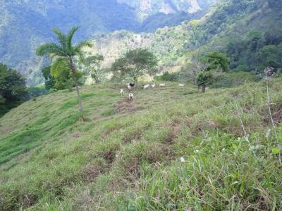Parrita Parrita, Puntarenas 00001, קוסטה ריקה