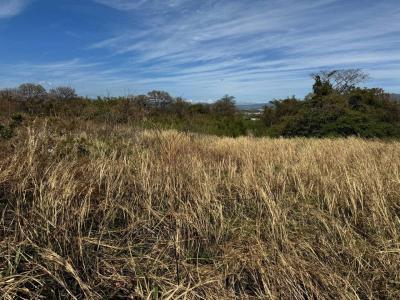 Coyol Alajuela, Alajuela 00001, Costa Rica