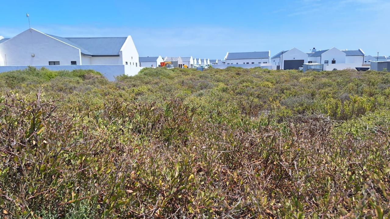 Velddrif, Western Cape, Südafrika