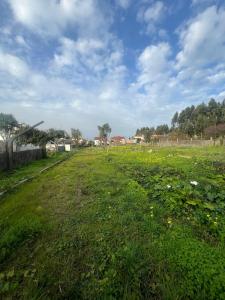 Vila Nova De Gaia, Porto 4410-232, Portugal