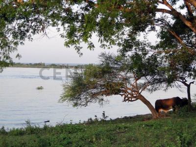 Avda Costanera, balcones del Rio , Limpio, Central 110816, 巴拉圭