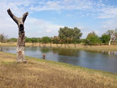 Avda Costanera, balcones del Rio , Limpio, Central 110816, 巴拉圭