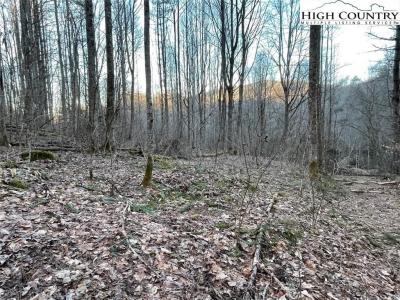 0 Dark Ridge Road, Elk Park, NC 28622, USA
