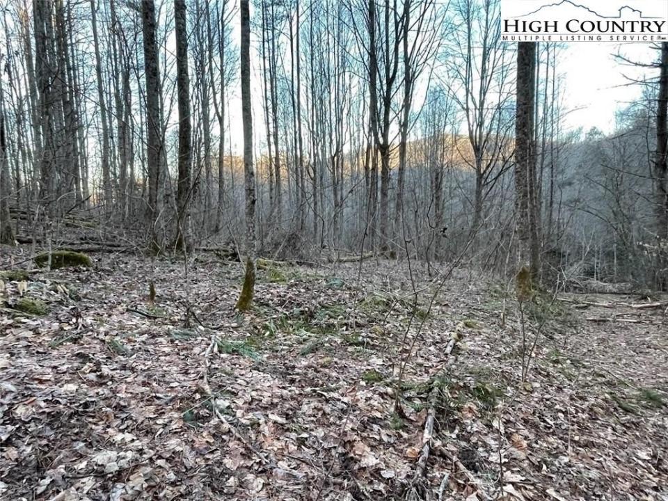 0 Dark Ridge Road, Elk Park, North Carolina 28622, Stati Uniti