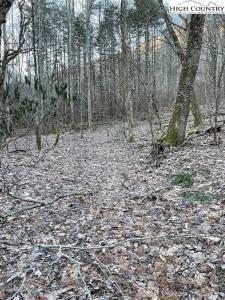 0 Dark Ridge Road, Elk Park, North Carolina 28622, Stati Uniti