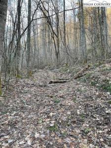 0 Dark Ridge Road, Elk Park, North Carolina 28622, Stati Uniti