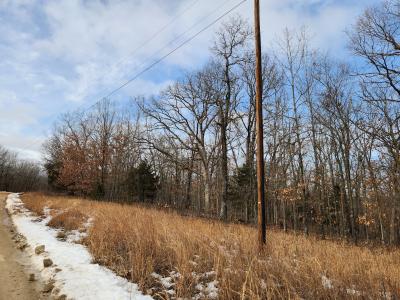 Prairie Hollow Road, Gravois Mills, 密苏里州 65037, 美国