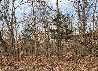 Prairie Hollow Road, Gravois Mills, 密苏里州 65037, 美国
