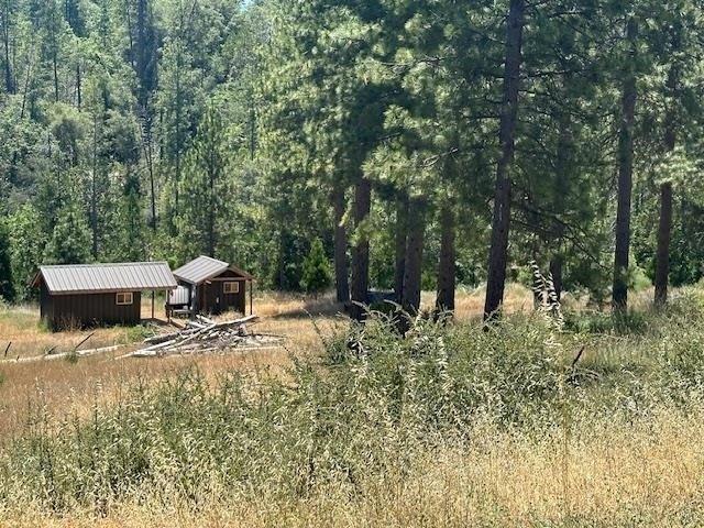 5 Lots Bear Canyon, Coulterville, カリフォルニア 95311, アメリカ合衆国