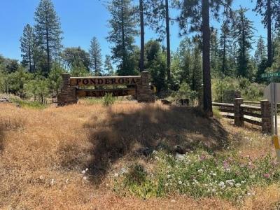 5 Lots Bear Canyon, Coulterville, カリフォルニア 95311, アメリカ合衆国