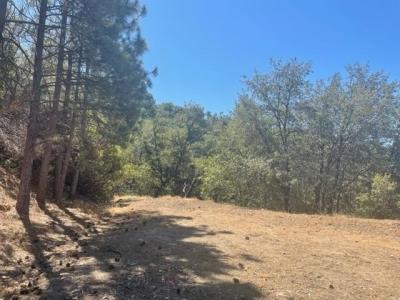 22950 Upper Cedarcrest Rd, Sonora, California 95370, Estados Unidos