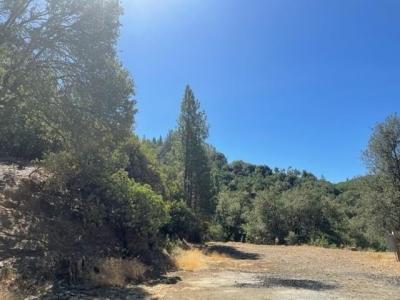 22950 Upper Cedarcrest Rd, Sonora, California 95370, Estados Unidos