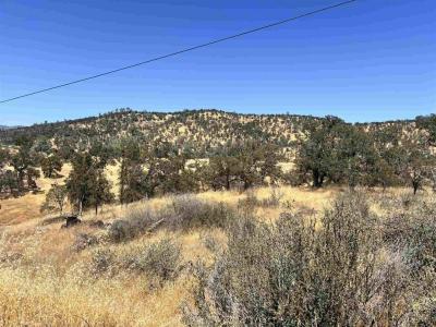2571 El Naranjo, La Grange, California 95329, HOA KỲ
