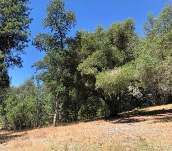 21930 Lyons Bald Mountain, Sonora, Калифорния 95370, Соединенные Штаты