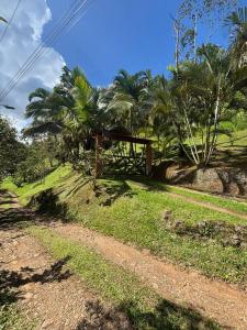 Pavones , Turrialba Turrialba, Cartago 30501, Costa Rica