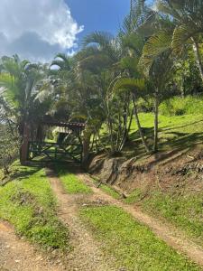 Pavones , Turrialba Turrialba, Cartago 30501, Costa Rica
