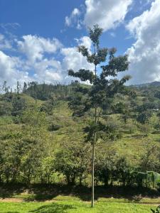 Pavones , Turrialba Turrialba, Cartago 30501, Costa Rica