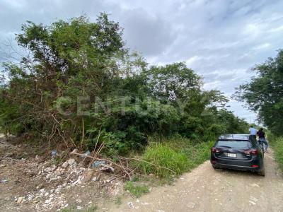 Alfredo V Bonfil TERRENO # 7,, Cancún/Benito Juárez, Quintana Roo 77500, Mexico