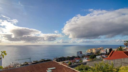 Funchal, Madeira 9000-109, Portugal