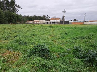 Ovar, Aveiro 3885, Portugal