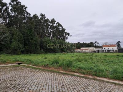 Ovar, Aveiro 3885, Portugal