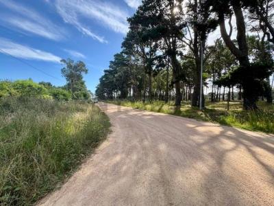 Balneario Buenos Aires, Maldonado 00001, Uruguay