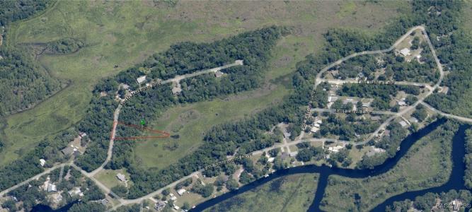 6675 N Hartman Path, Hernando, Florida 34442, Estados Unidos