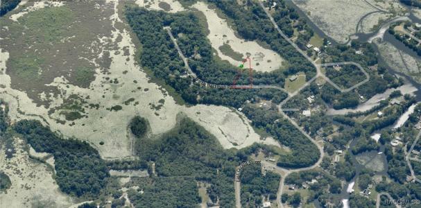 6675 N Hartman Path, Hernando, Florida 34442, Estados Unidos