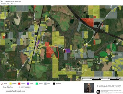 Greensboro Highway, Greensboro, Florida 32330, USA