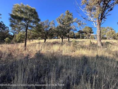 108 Nottingham, Ruidoso, 新墨西哥州 8845, 美國