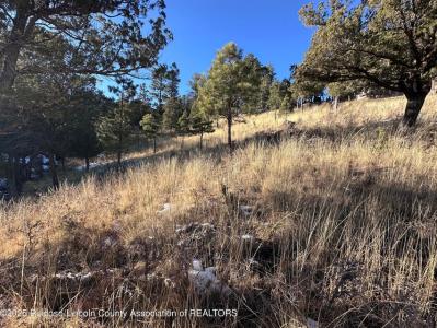 108 Nottingham, Ruidoso, 新墨西哥州 8845, 美國
