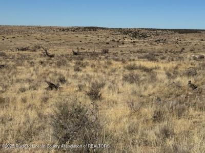Lot 116 Starbright Lane, Ancho, Novo México 88301, Estados Unidos
