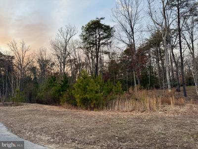 40624 Breton Oaks Lane, Leonardtown, 马里兰州 20650, 美国