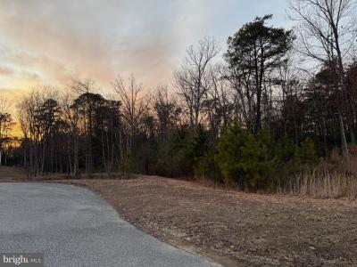 40624 Breton Oaks Lane, Leonardtown, 马里兰州 20650, 美国