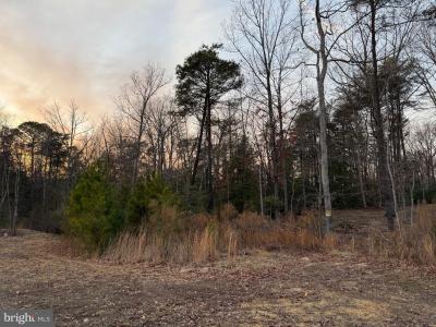 40624 Breton Oaks Lane, Leonardtown, 马里兰州 20650, 美国