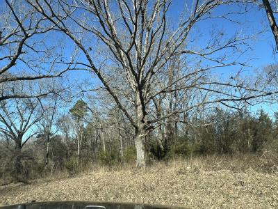 510 Old Waters Highway, Pine Ridge, Arkansas 71961, Estados Unidos