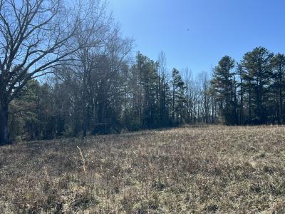 510 Old Waters Highway, Pine Ridge, Arkansas 71961, USA