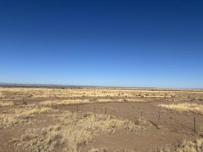 257 Whistler Trail, Carrizozo, New Mexico 88312